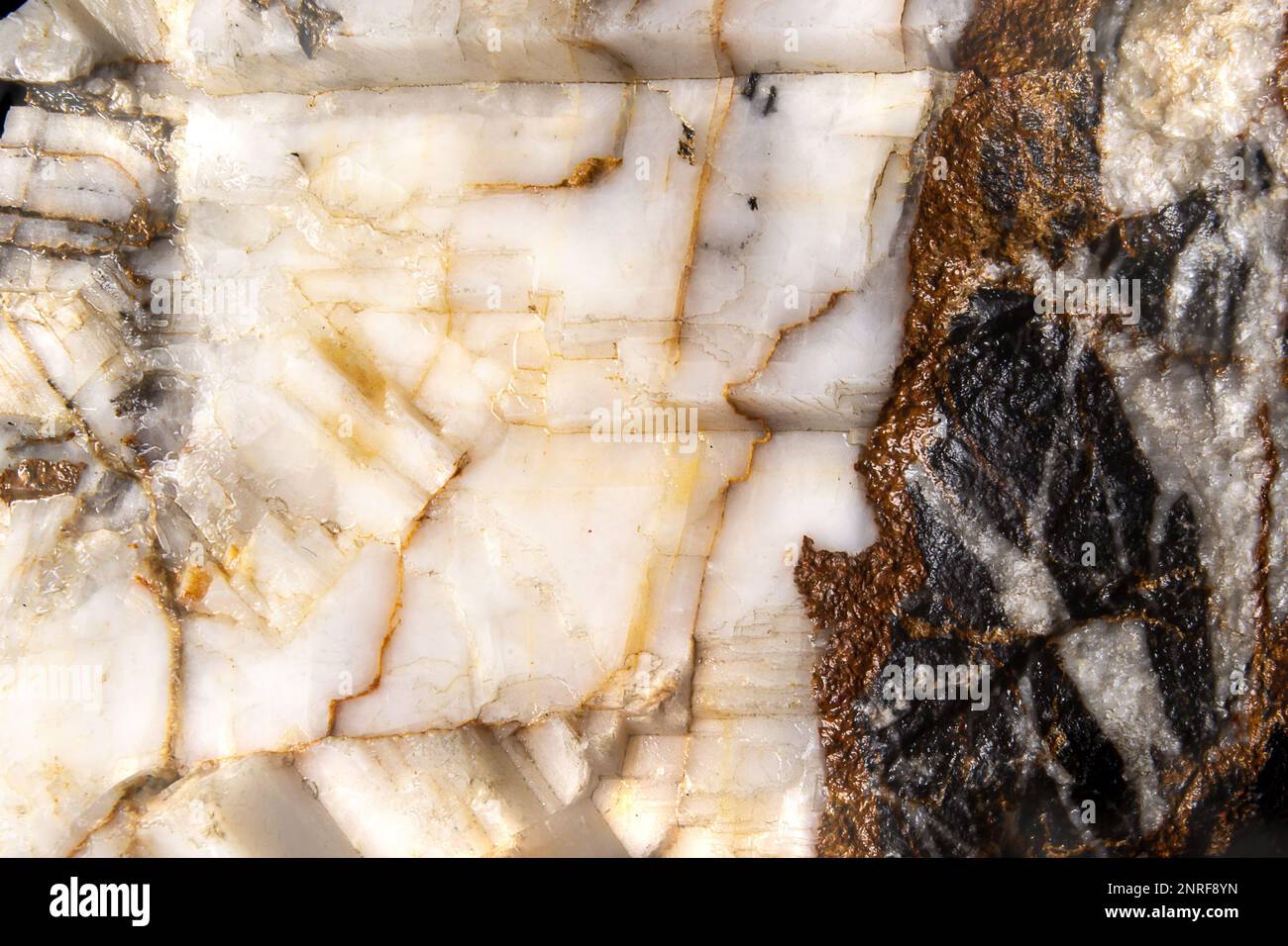 stone close up abstract background Stock Photo