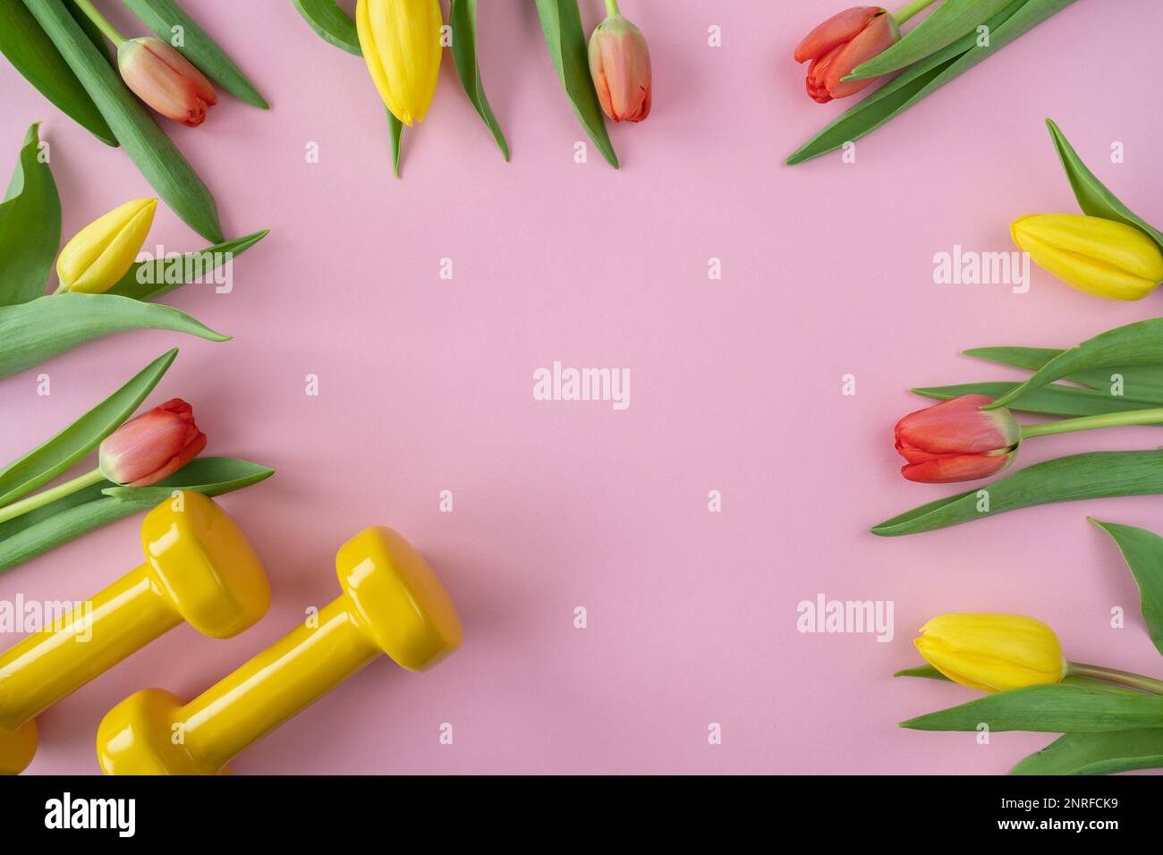 Gym dumbbells and tulips flowers as a gift for Women's Day or birthday. Healthy fitness workout, sport training flat lay with copy space. Stock Photo