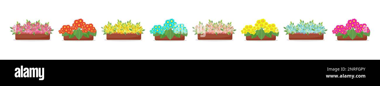Set Blooming flowers in pots in flat style, big collection of spring flowers in boxes, isolated vector design elements. Stock Vector