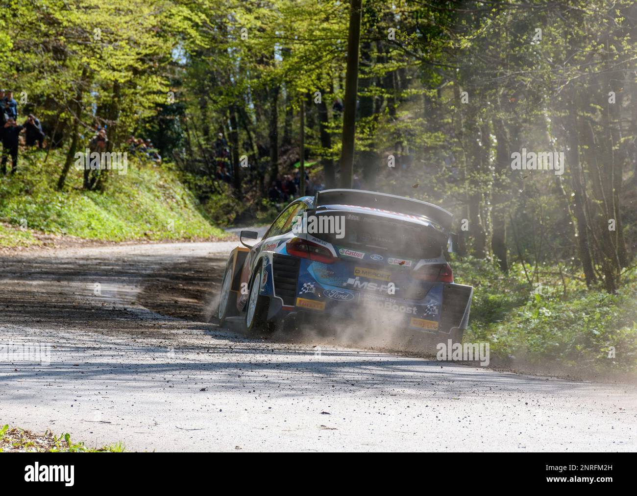 Ford Rally Car Rear End Rear view of Ford Fiesta WRC race car at Rally Croatia in April 2021 ...