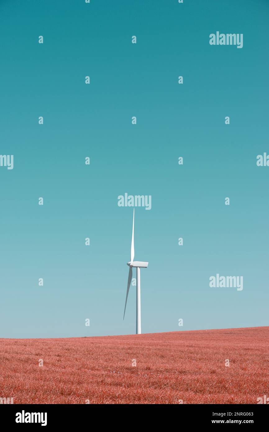 Wind turbine for the production of renewable electricity on a meadow Stock Photo