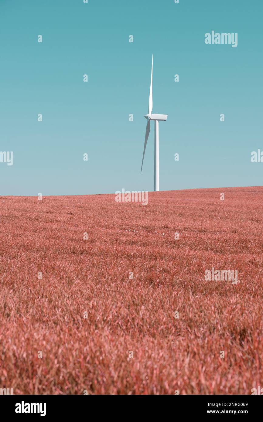 Wind turbine for the production of renewable electricity on a meadow Stock Photo