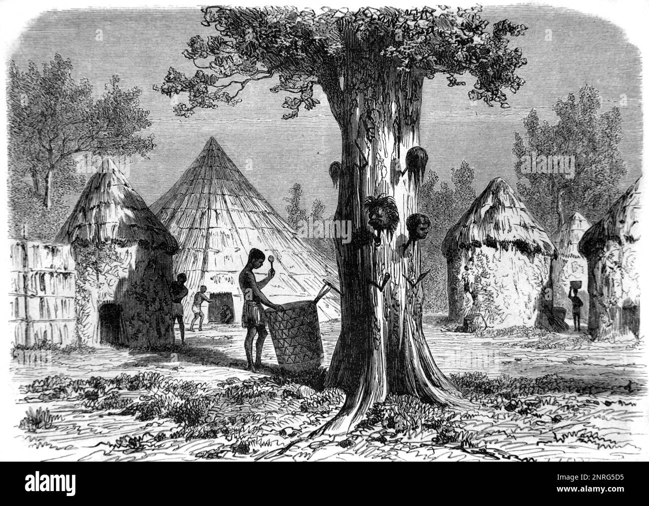War Tree or Trophy Tree Hung with Severed Heads of Rival Tribe in Nuer Village or African Village of Round Mud Huts in the White Nile Region of  South Sudan Africa. Vintage Engraving or Illustration 1862 Stock Photo