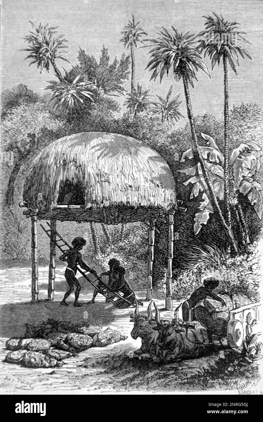 Raised granary Black and White Stock Photos & Images Alamy