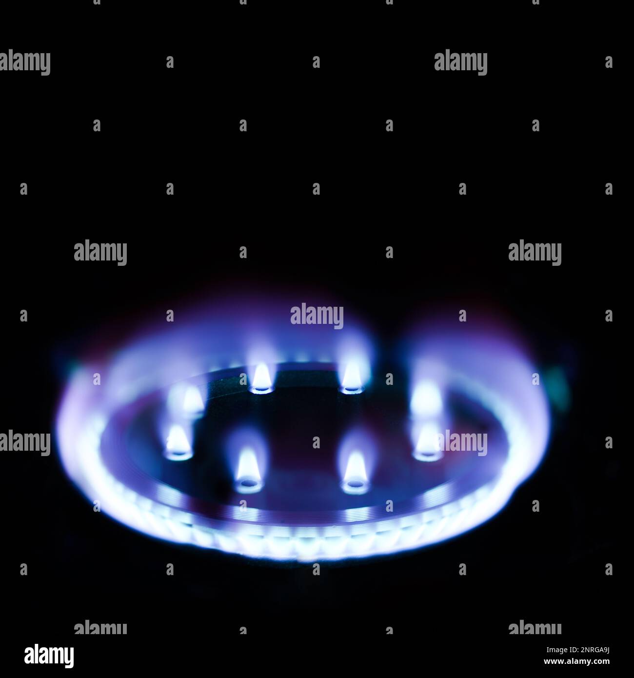Burning gas burner at the home stove Stock Photo Alamy