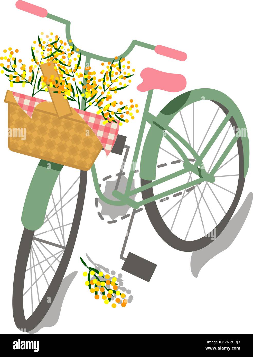 Basket of mimosa flower bouquet on bicycle drawing on a transparent