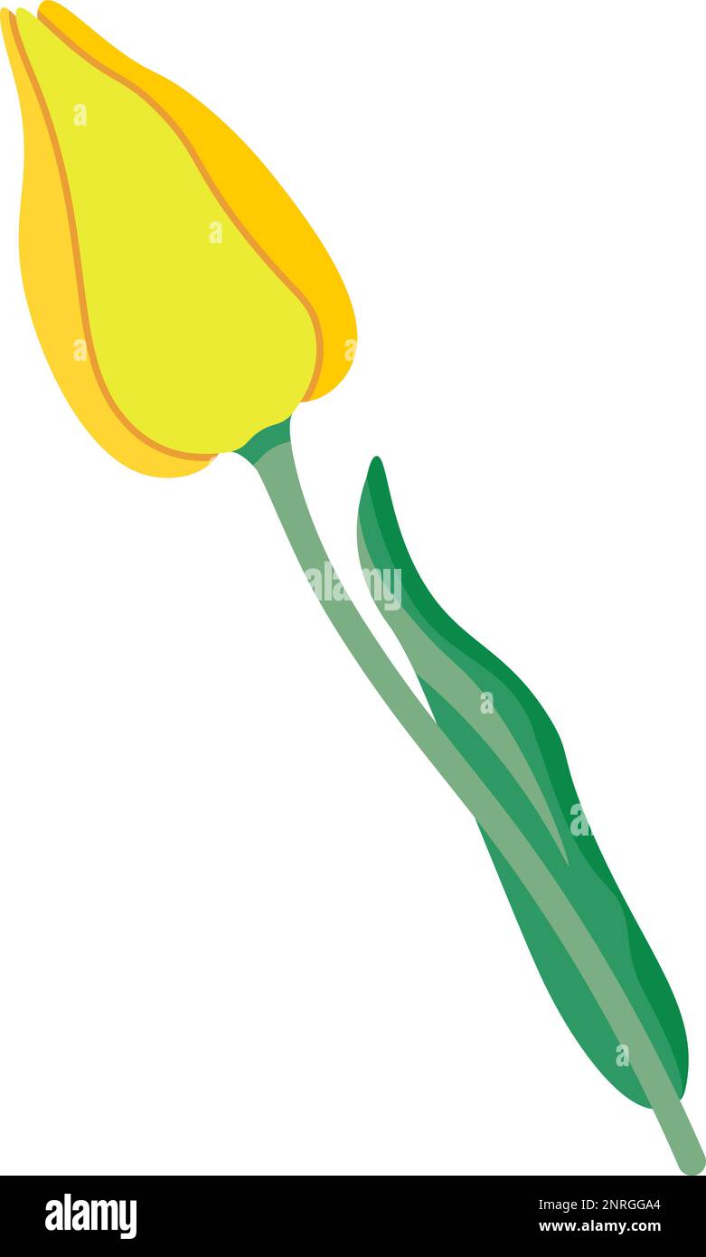 Clipart icon with bud of tulip flower drawing on a transparent