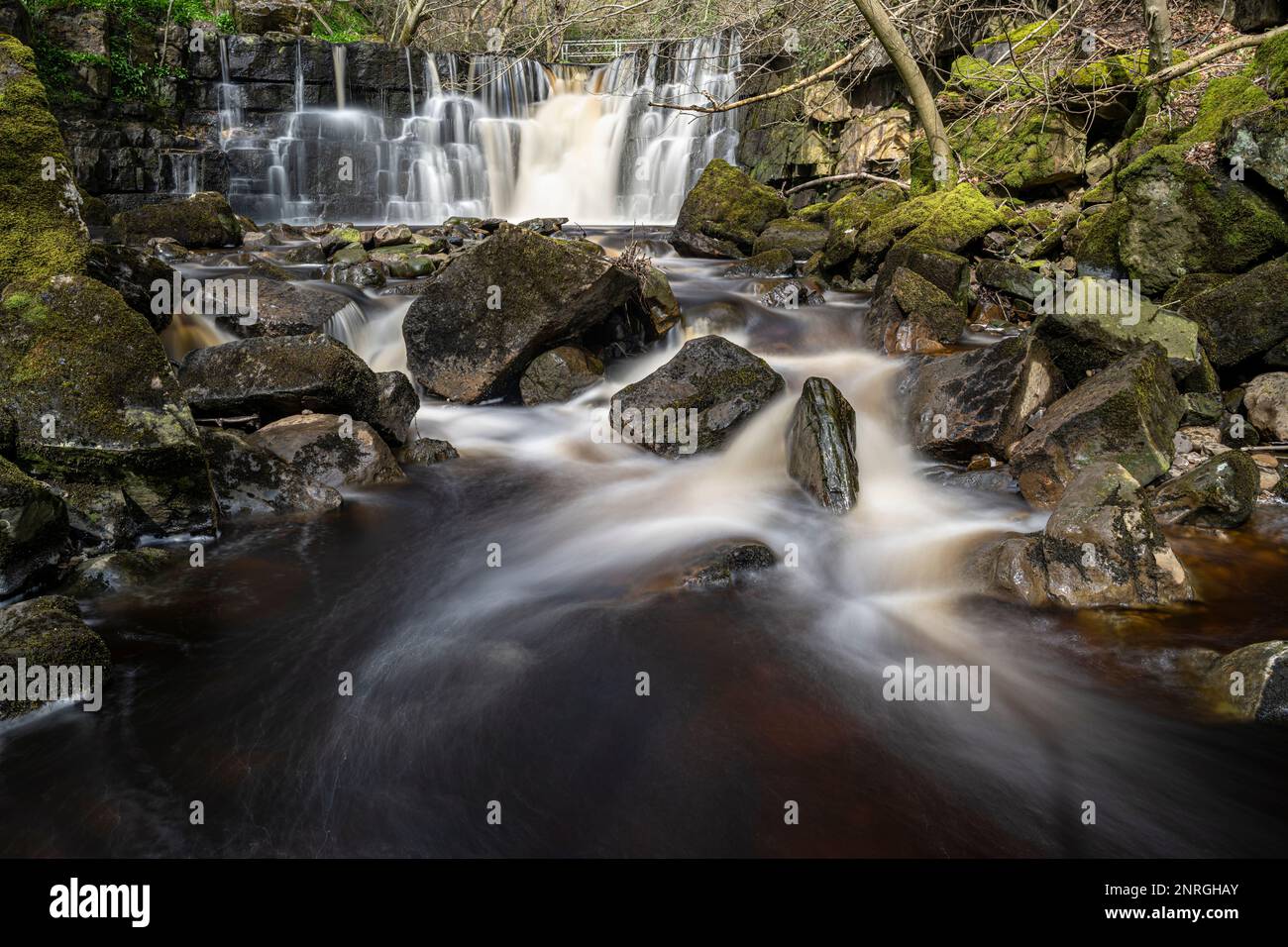 Whitfield Gill Force near the village of Askrigg in Wensleydale Stock Photo