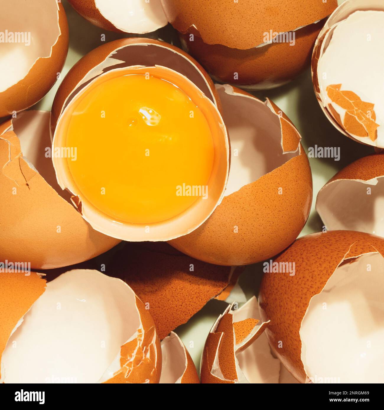 Uncooked yolk between broken eggs. top view photography. Chicken raw