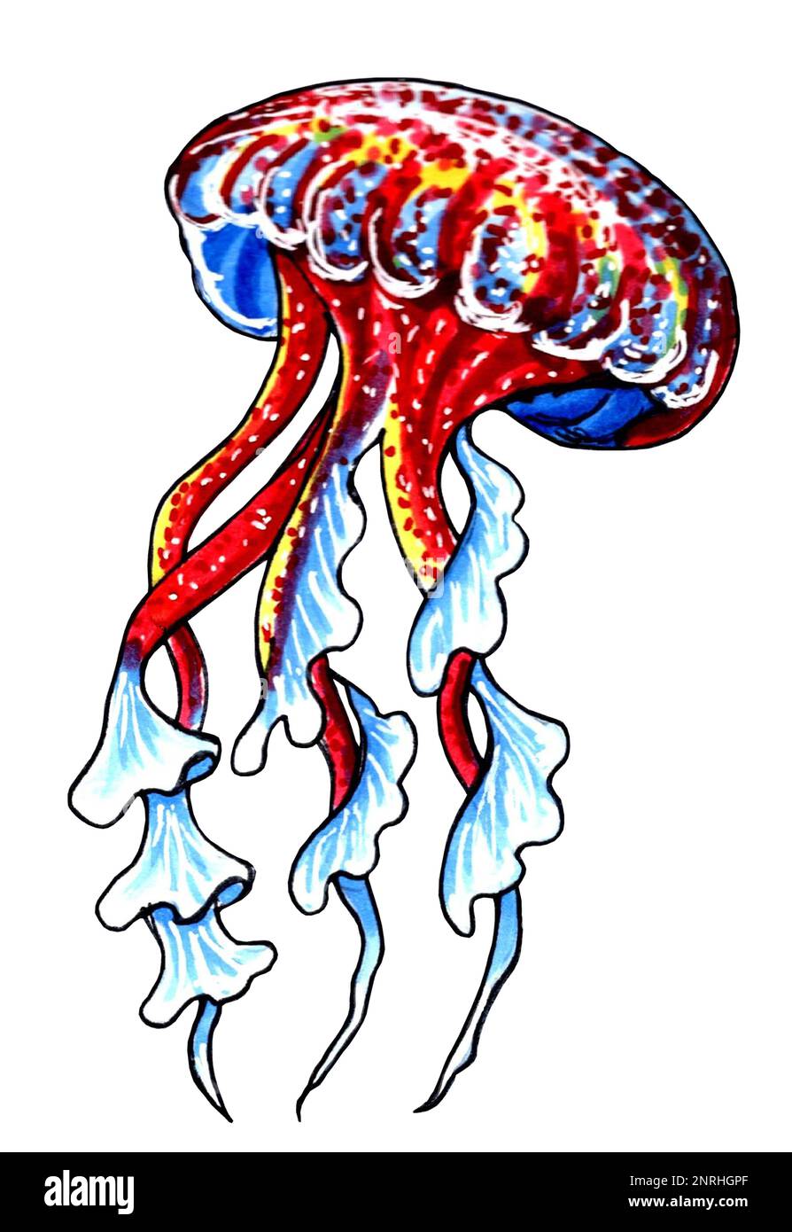 Red and blue jellyfish with wavy tentacles. JPEG illustration marine animals. Stock Photo