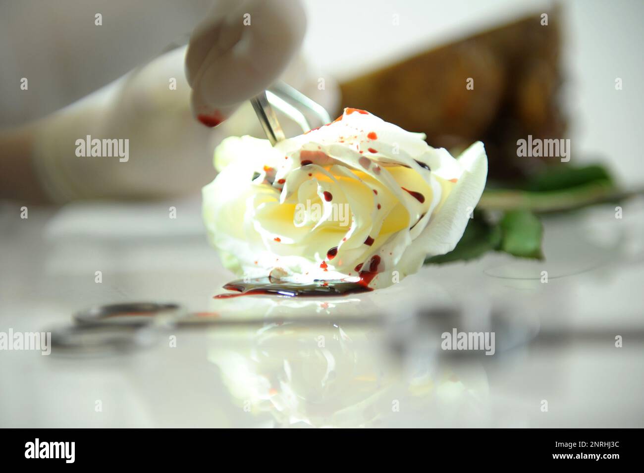 White rose with artificial blood scalpel and surgical instruments for