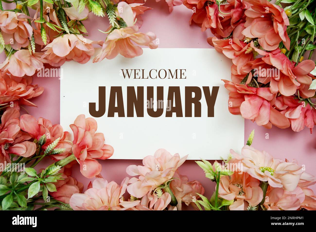 January typography text with flowers frame on pink background