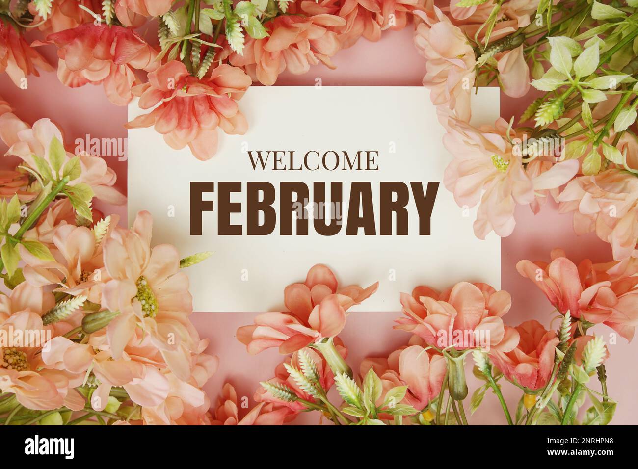 February typography text with flowers frame on pink background
