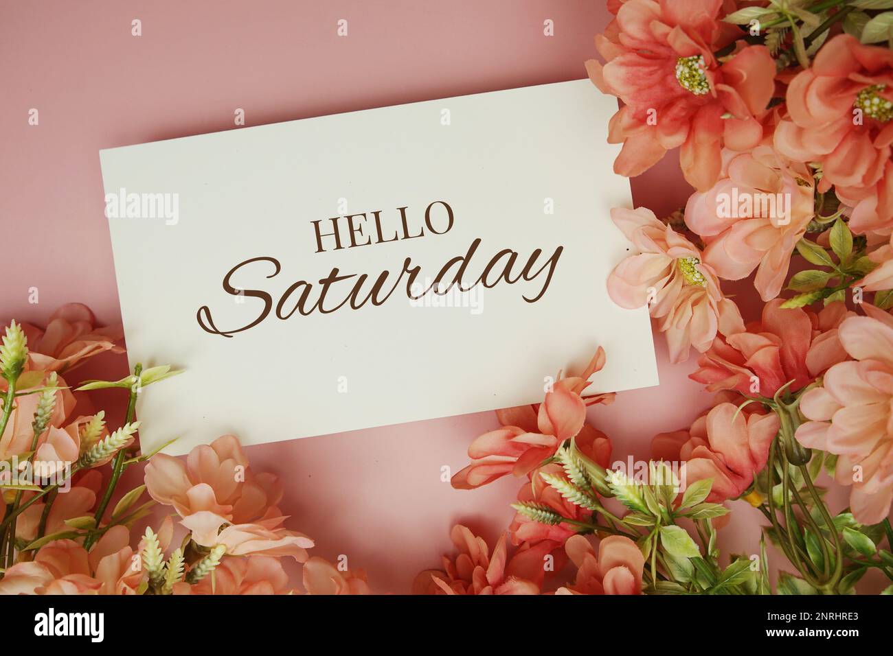 Hello Saturday typography text with flowers on pink background Stock