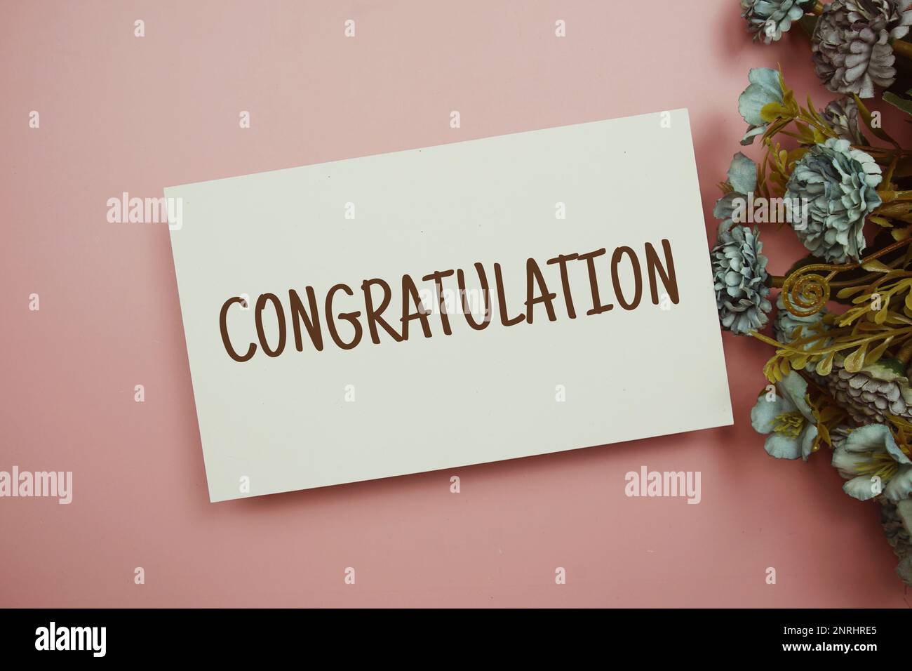 Congratulation typography text with flowers on pink background Stock ...
