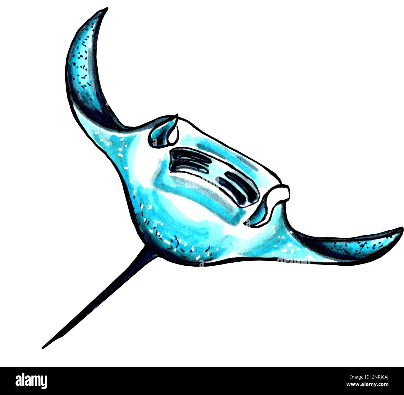 Ocean stingray aqua color. JPEG illustration marine animals Stock Photo
