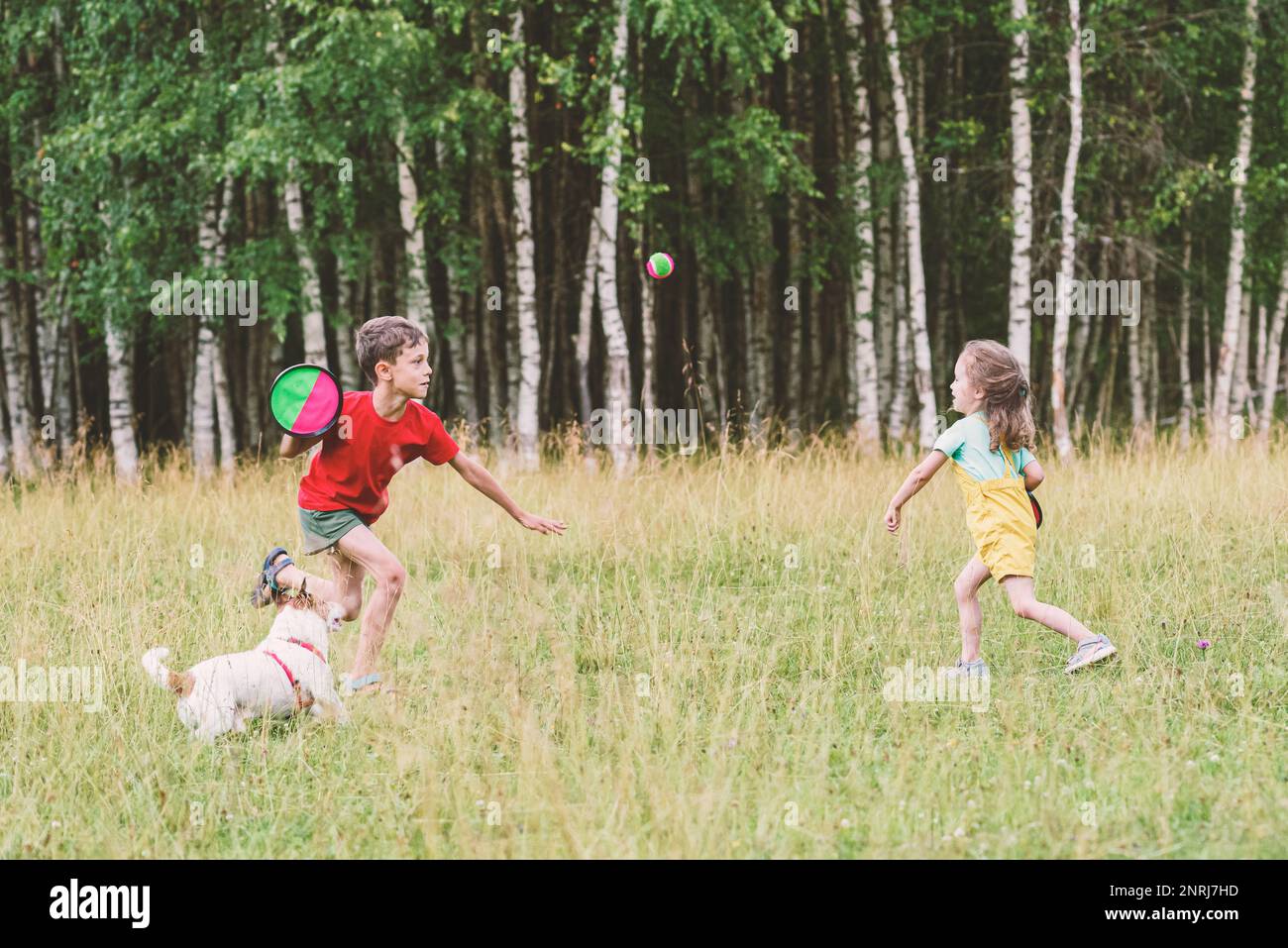 Kids and family pet dog playing with toss and catch ball set outdoors. Activity game during picnic in nature park Stock Photo