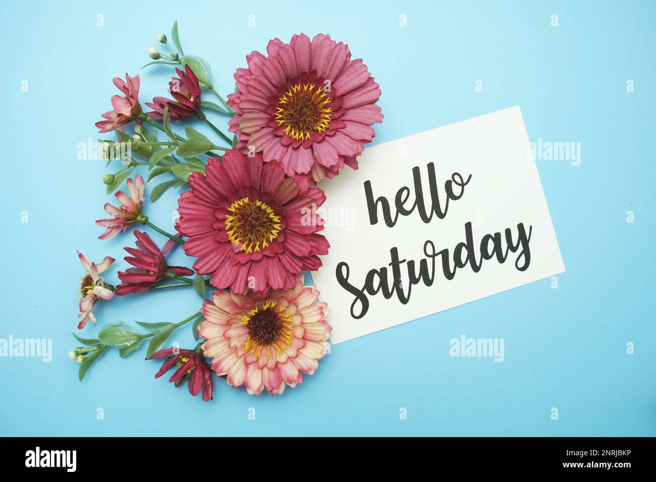 Hello Saturday typography text with daisy flowers on blue background