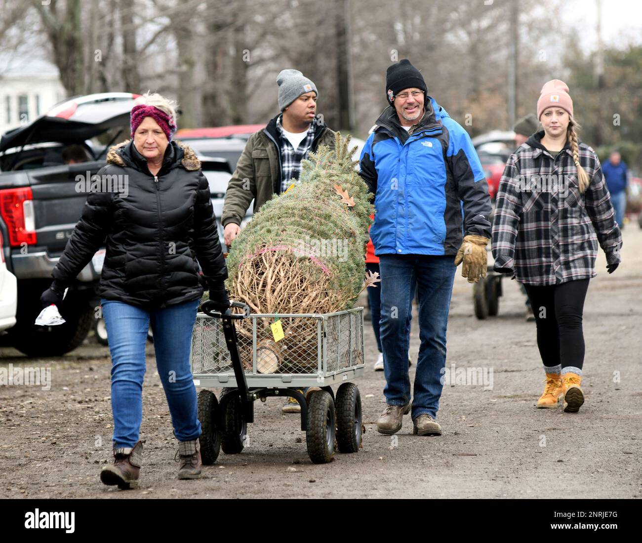 Martha Halemba pulls a Christmas tree in a wagon at Manners Christmas