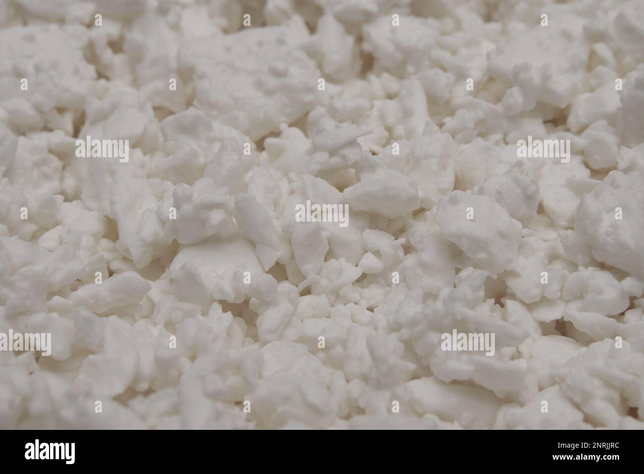 Proteinrich dairy product closeup. Cottage cheese texture background