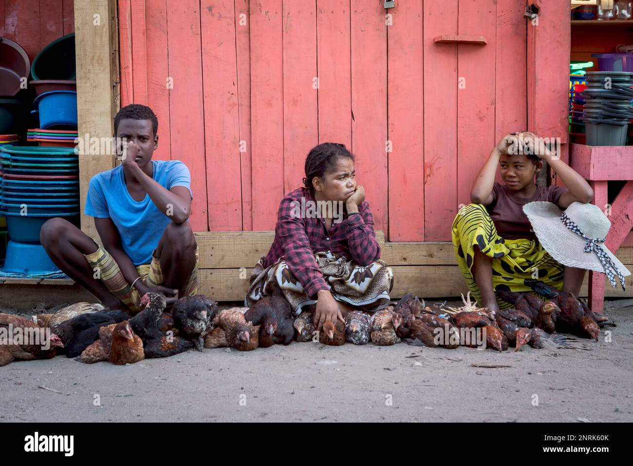chicken vendors, market, Morondava, Madagascar Stock Photo Alamy