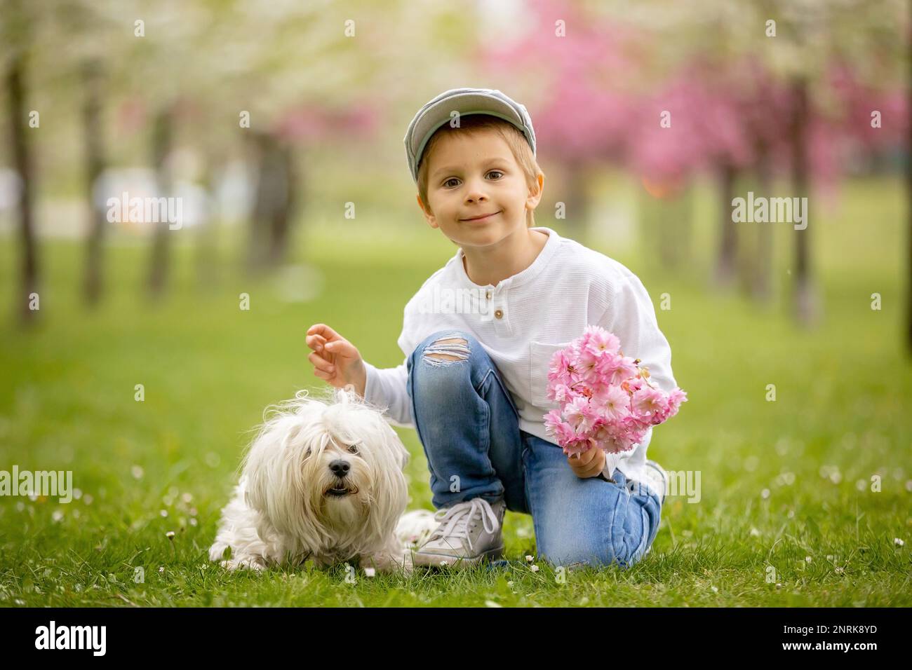 Beautiful family with kids, mom, dad, three boys and a dog, playing in ...