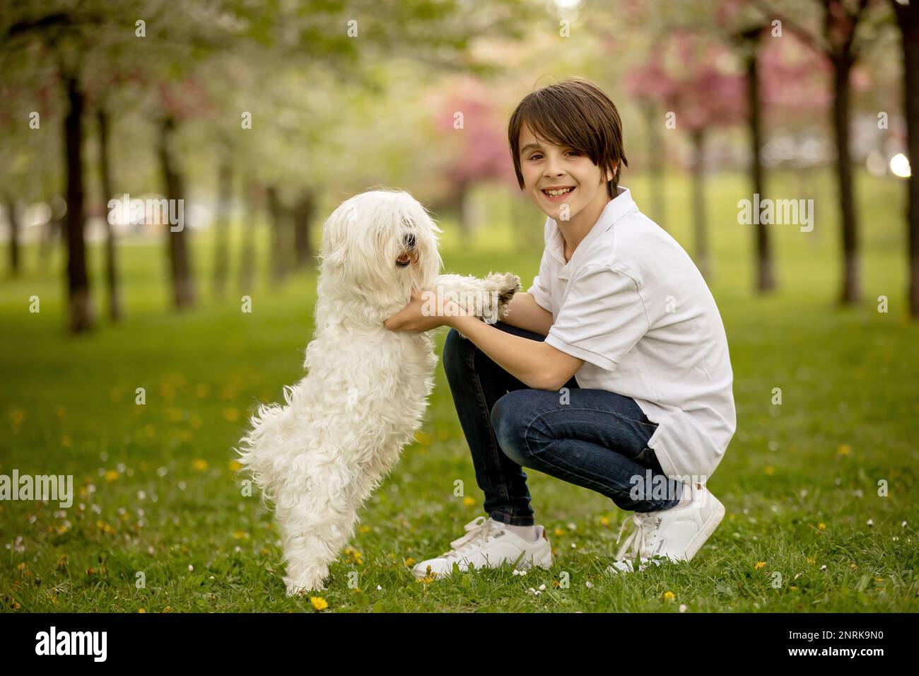 Beautiful family with kids, mom, dad, three boys and a dog, playing in ...