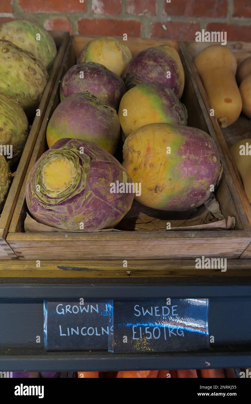 Fruit and vegetable display, aubergines, eggplant, brinjal, sweet