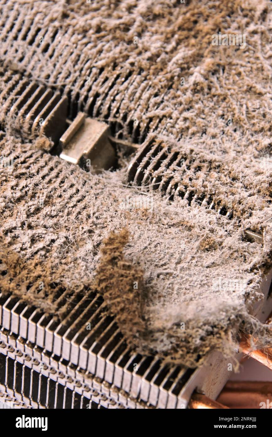 Dust on the fan in the computer close up Stock Photo - Alamy