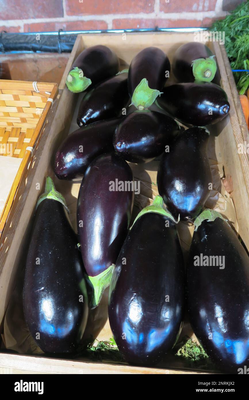 Fruit and vegetable display, aubergines, eggplant, brinjal, sweet
