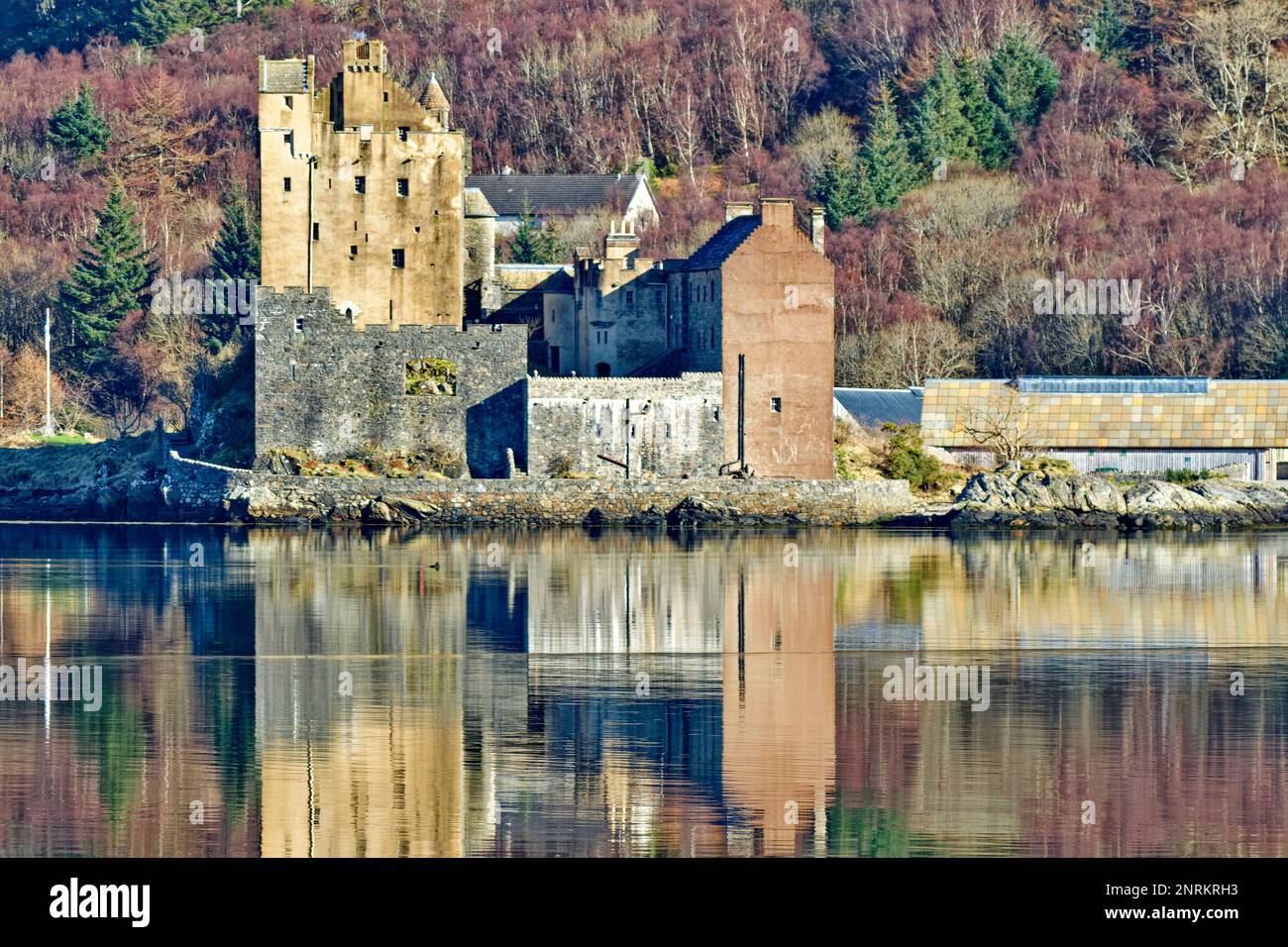 Eilean Donan Castle Loch Duich Scotland colours of the castle and birch trees reflected in the sea loch Stock Photo