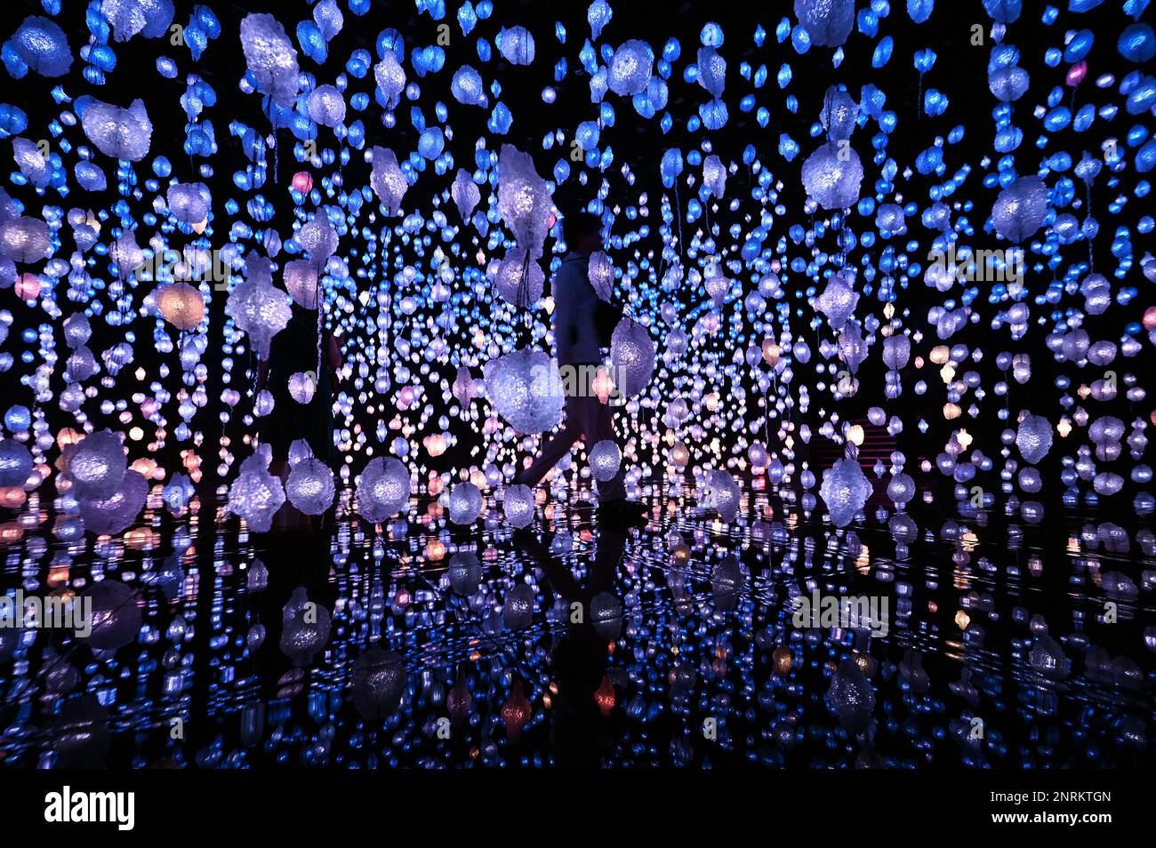 Installation by Swiss artist Pipilotti Rist at the National Museum of Qatar Stock Photo