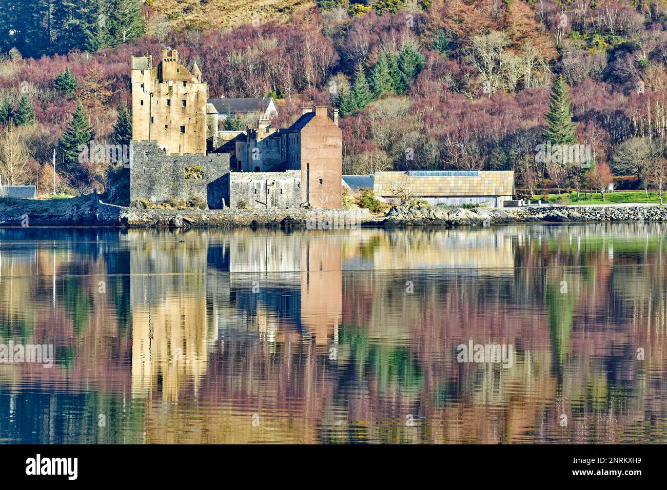 Eilean Donan Castle Loch Duich Scotland the colours of the castle and birch trees reflected in the sea loch Stock Photo
