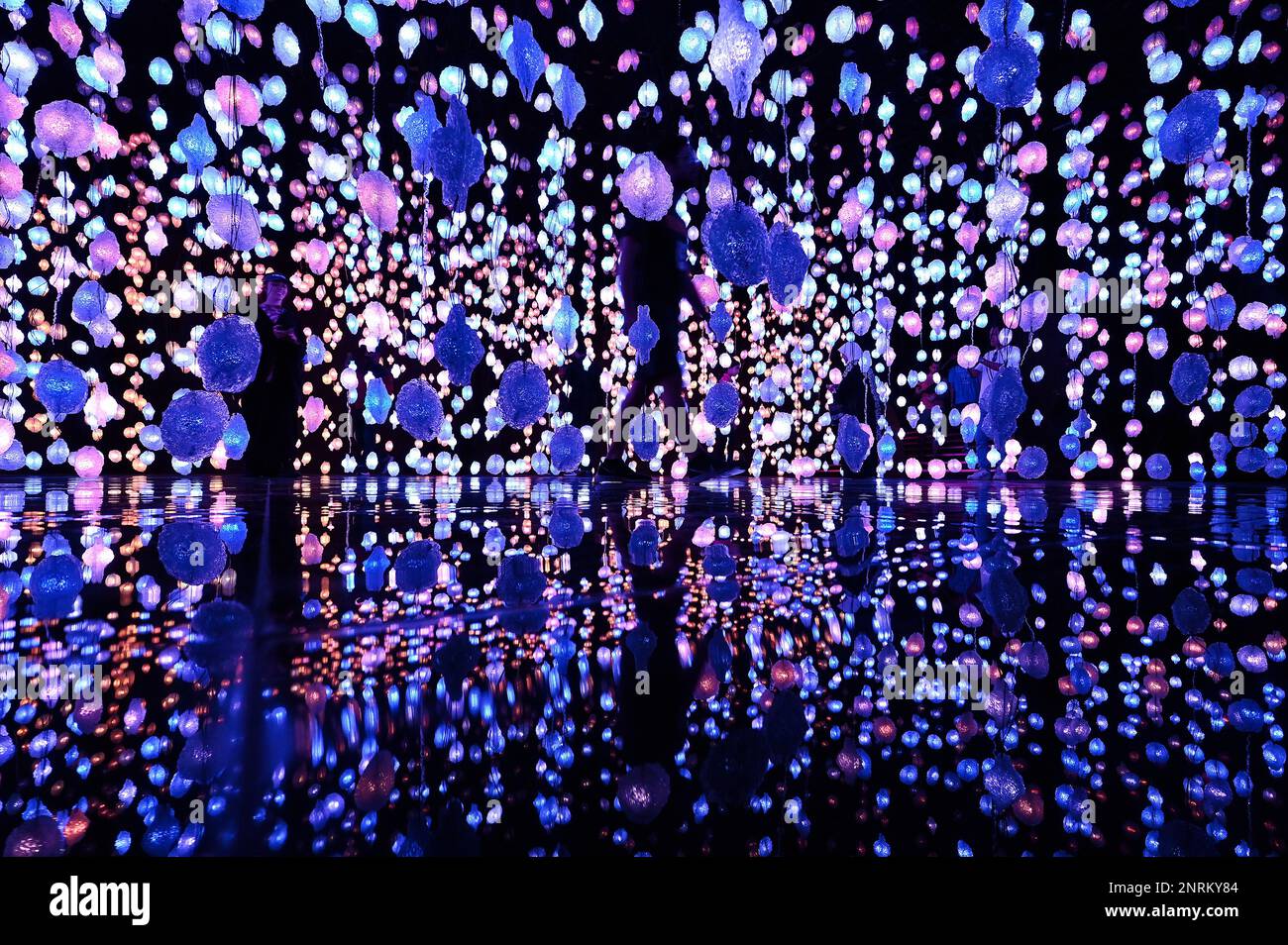 Installation by Swiss artist Pipilotti Rist at the National Museum of Qatar Stock Photo