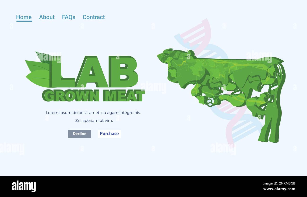 cultured green pork veal chicken meat artificial lab grown meat production concept Stock Vector