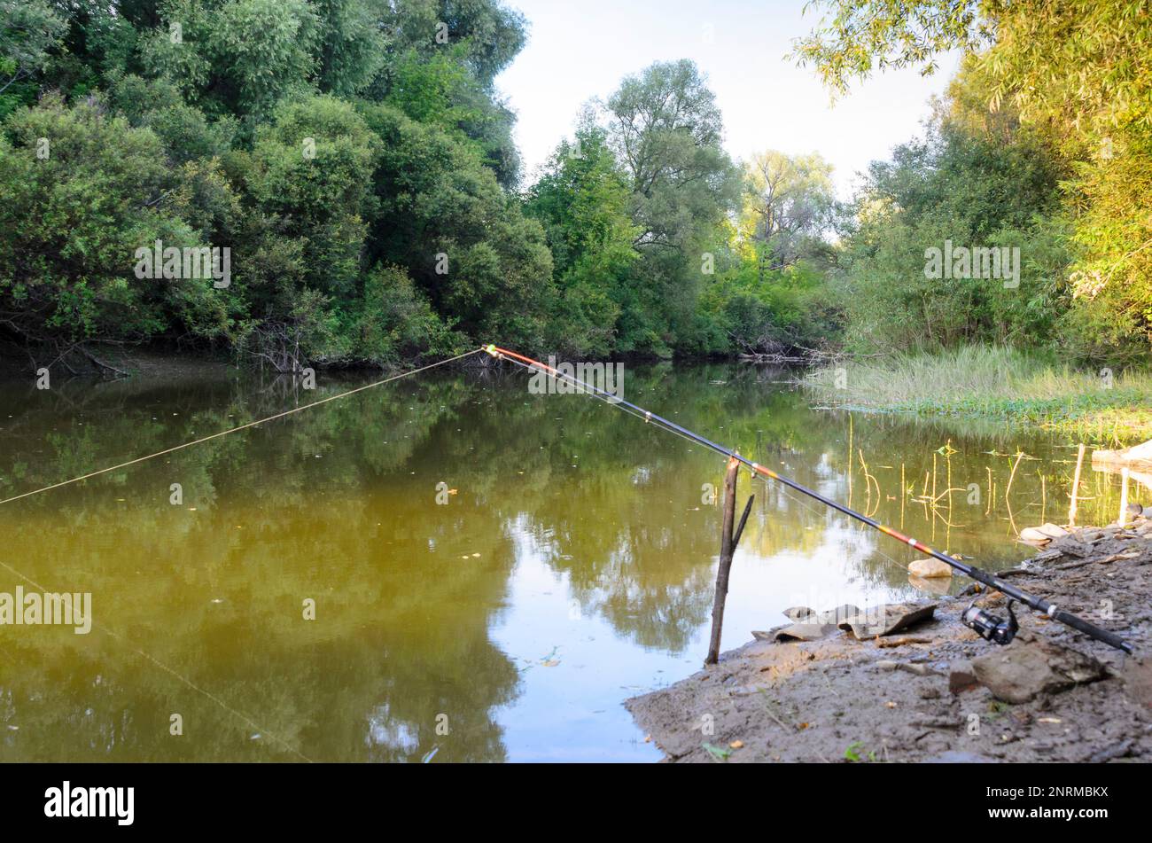 https://c8.alamy.com/comp/2NRMBKX/a-fishing-rod-stands-on-the-bank-of-a-small-river-in-the-summer-without-people-in-russia-2NRMBKX.jpg