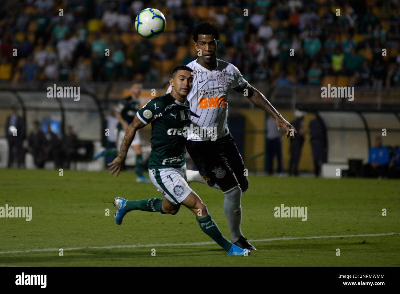 SP - Sao Paulo - 11/09/2019 - Brazilian A 2019, Palmeiras vs