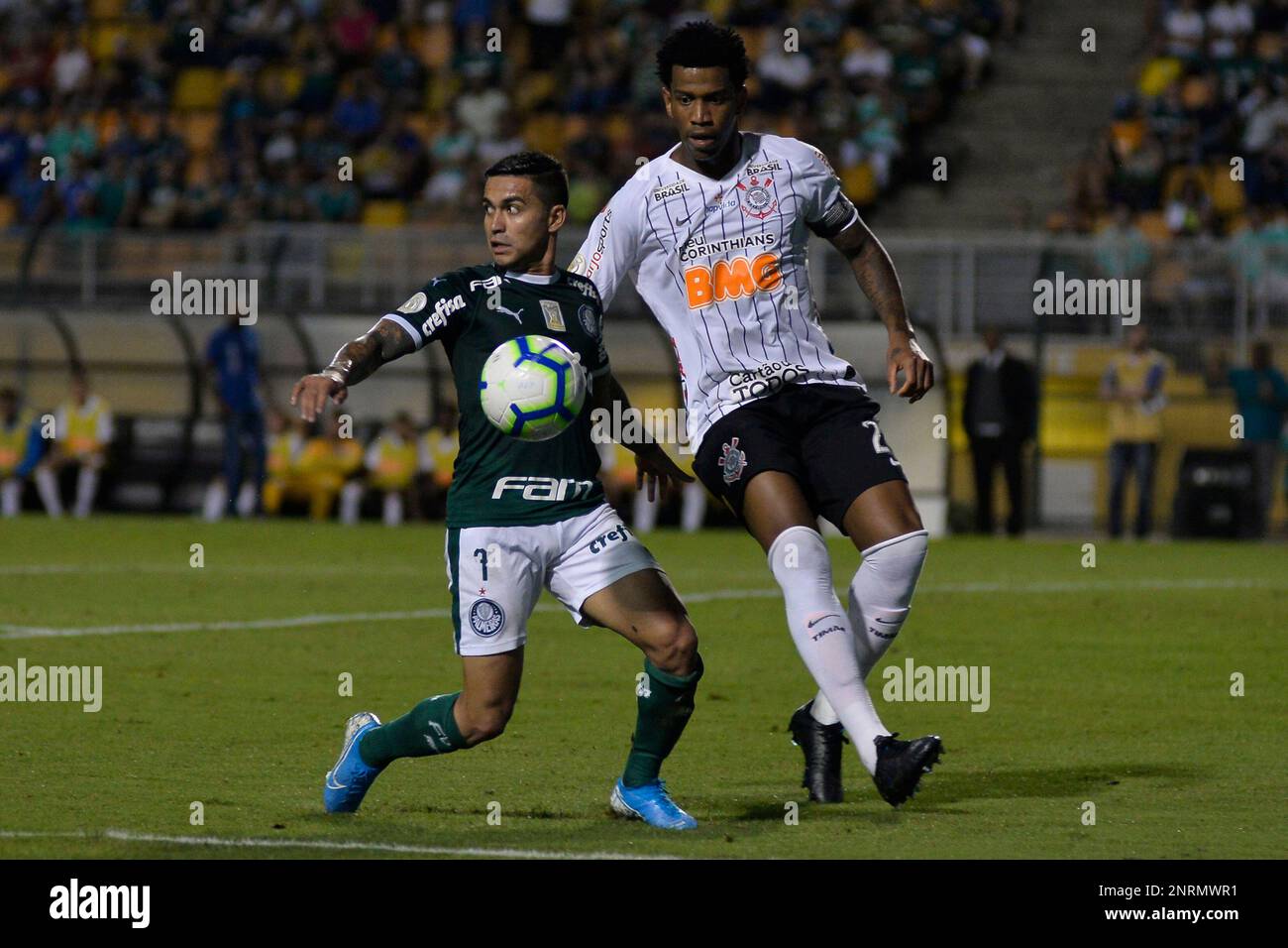 SP - Sao Paulo - 11/09/2019 - Brazilian A 2019, Palmeiras vs