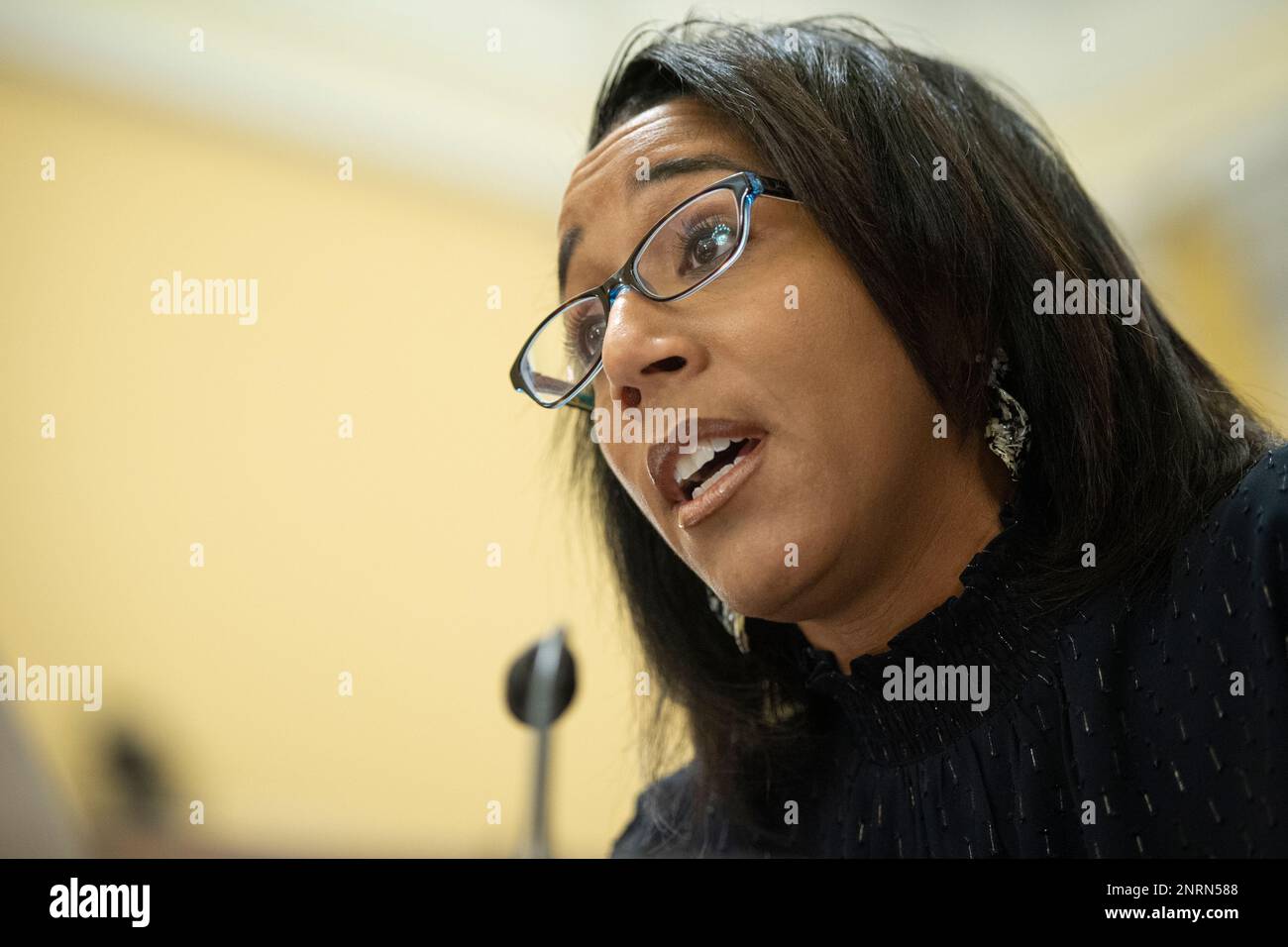 UNITED STATES - NOVEMBER 7: Karyn A. Temple, register of copyrights and  director of the . Copyright Office, speaks during the Senate Rules and  Administration Committee hearing on 