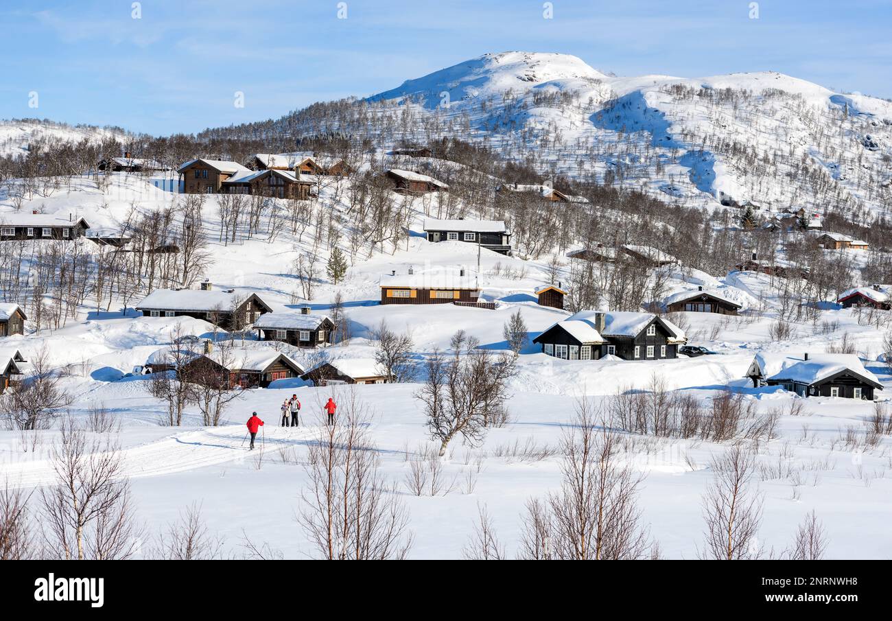 Wintery landscape with private cabins and skiing tracks at Rauland (Vinje, Telemark and Vestfold), Norway in late February. Stock Photo