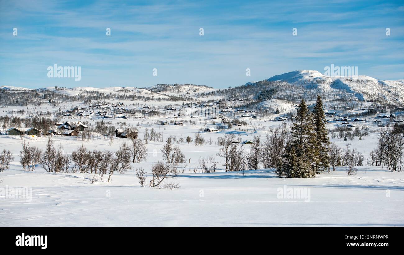 Wintery landscape with private cabins and skiing tracks at Rauland (Austbø, Telemark and Vestfold), Norway in late February. Stock Photo