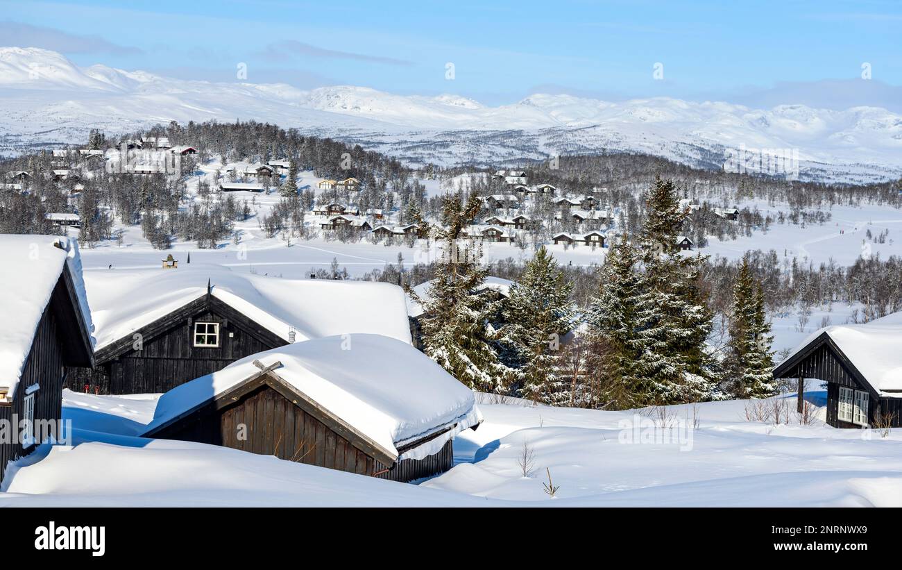 Wintery landscape with private cabins at Rauland (Austbø, Telemark and Vestfold), Norway in late February. Hardangervidda National Park is seen in the Stock Photo