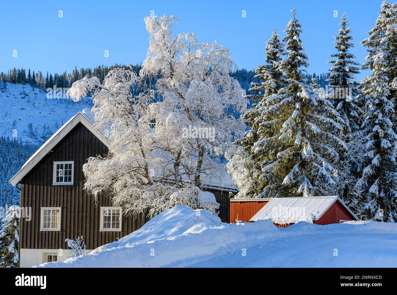 Winter scenery from Morgedal, Kviteseid, Telemark and Vestfold, Norway. Stock Photo