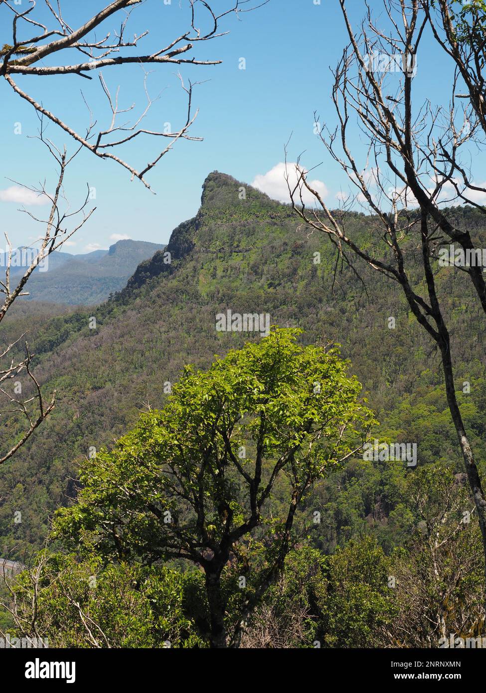 Lookout over the great dividing range from Main Range National Park, Queensland, Australia Stock Lookout over the great dividing range from Main Range National Park, Queensland, Australia Stock