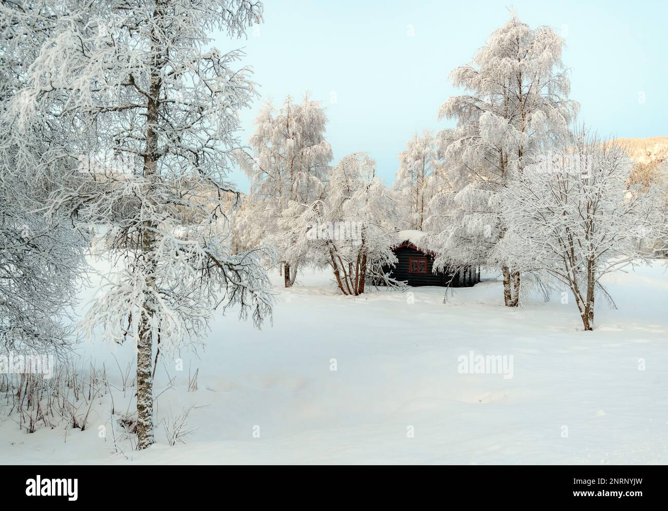 Winter scenery from Morgedal, Kviteseid, Telemark and Vestfold, Norway. Stock Photo