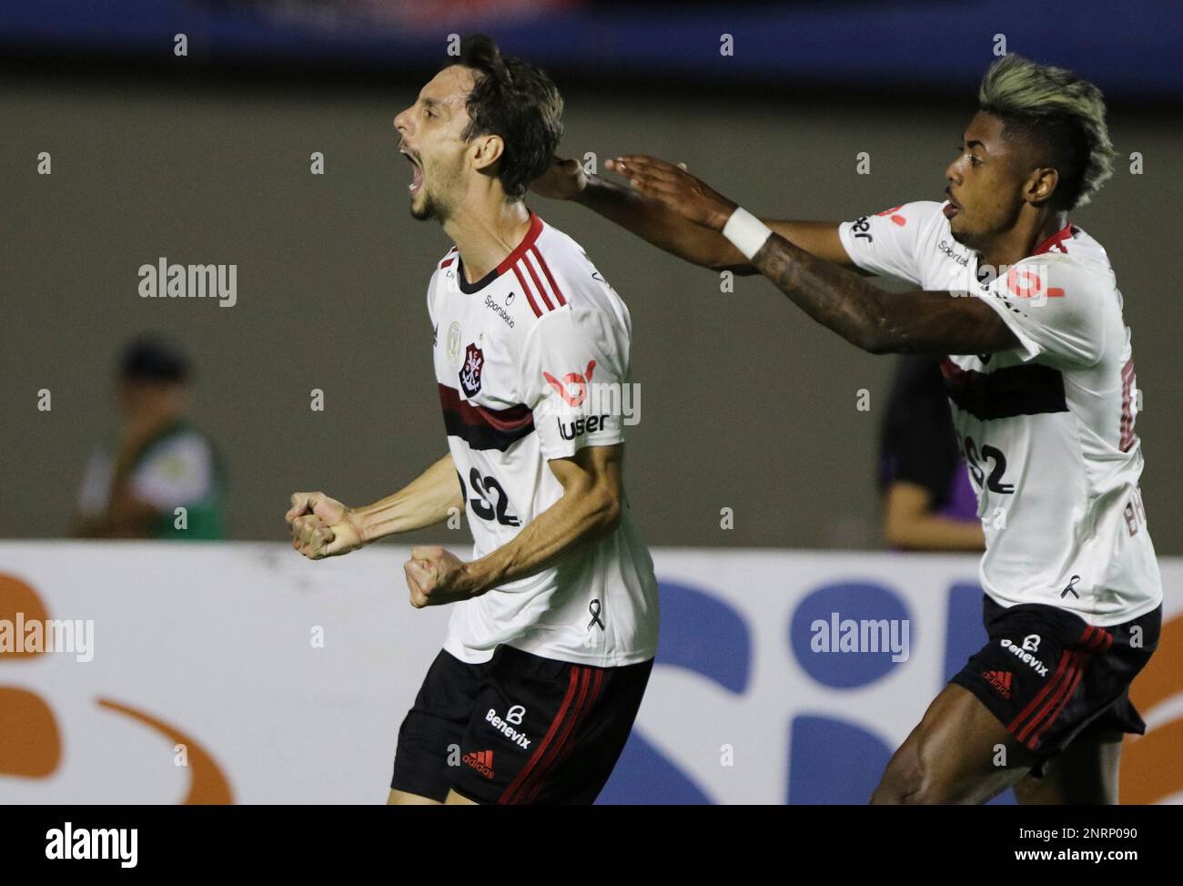 GO - Goiania - 10312019 - Brasileiro A 2019, Goi sx Flamengo - Rodrigo  Caio Flamengo player celebrates his goal with Bruno Henrique player during  a match against Goias in the Serra