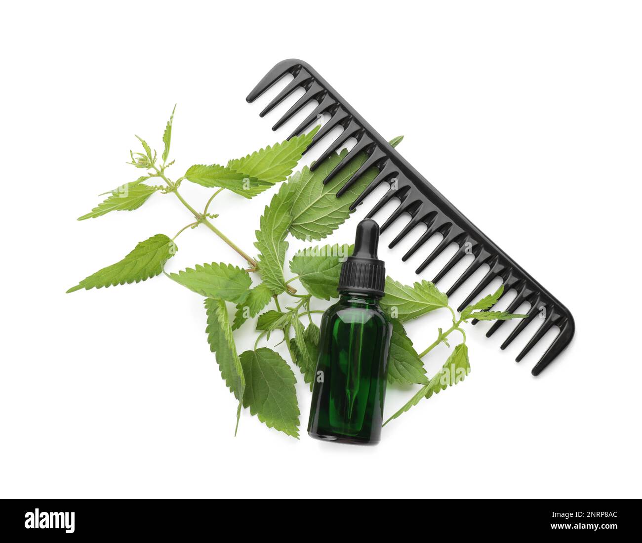 Stinging nettle extract in bottle, green leaves and comb on white