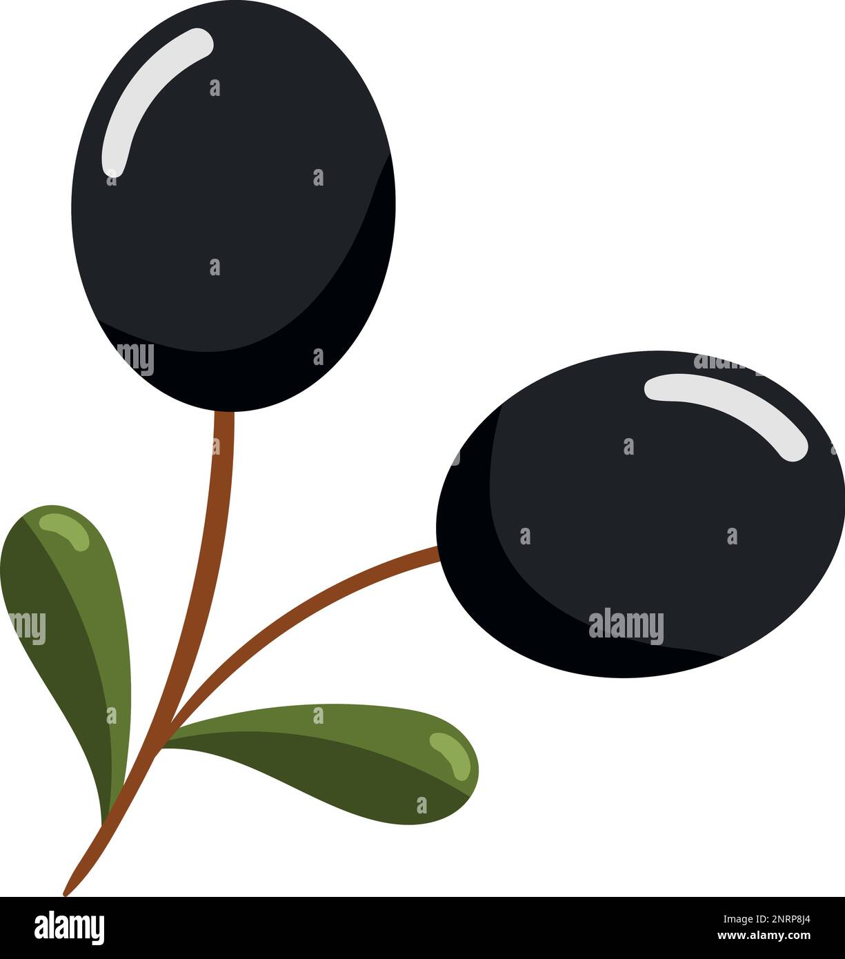 olive branch and leaf icon Stock Vector Image & Art - Alamy