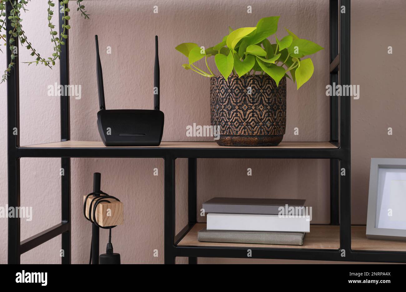 Modern wifi router and houseplant on wooden rack indoors Stock Photo