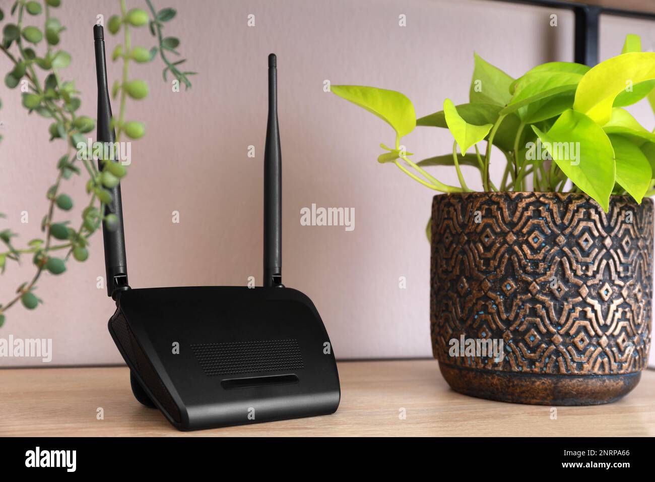 Modern wifi router and houseplant on wooden rack indoors Stock Photo